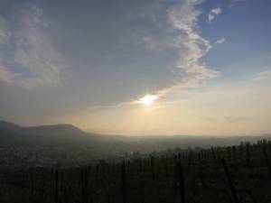 wanderung2.jpg